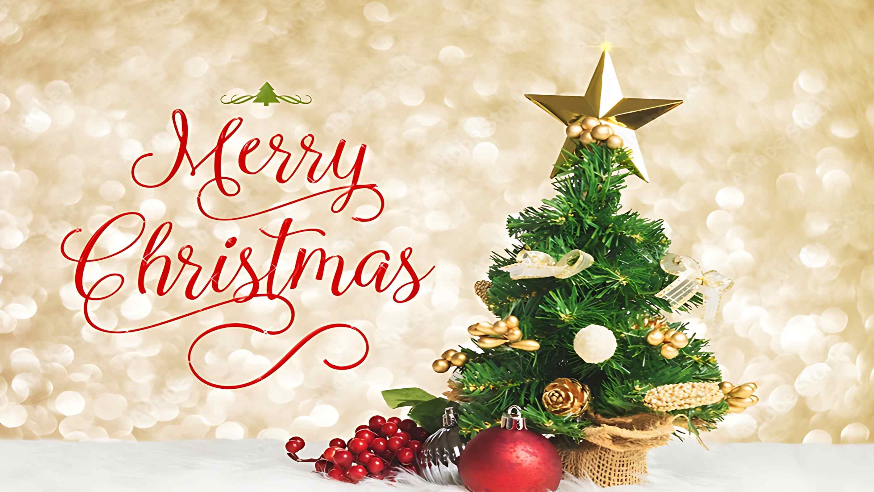 Tawakkol Karman Extends Christmas Greetings, Calls for Peace and Human Solidarity